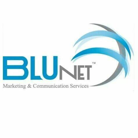 The Blu Net company logo – Jordan digital marketing agency